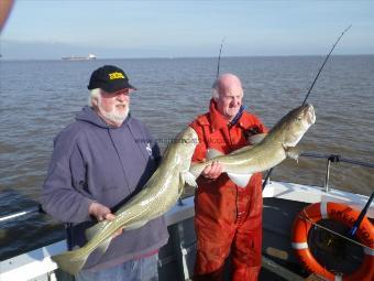 16 lb 10 oz Cod by Unknown