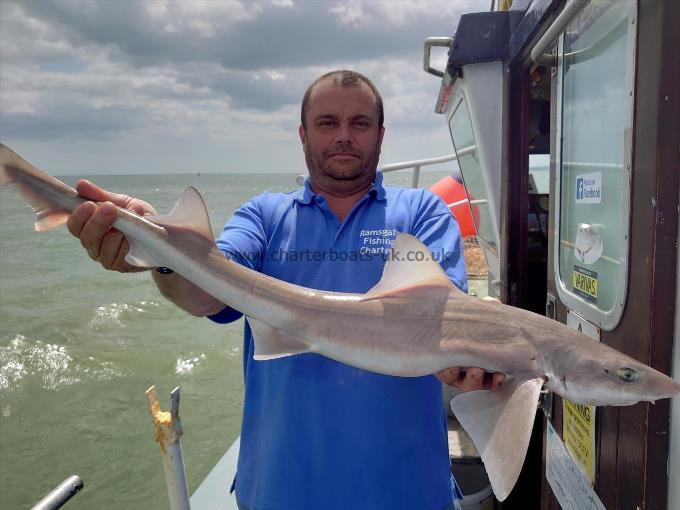 10 lb 9 oz Starry Smooth-hound by Ian From Bromley