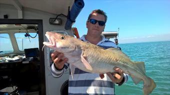 14 lb Cod by Stephen Wake