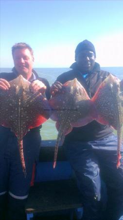 6 lb 9 oz Thornback Ray by darren from london