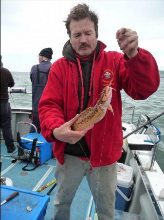 1 lb 2 oz Three Bearded Rockling by B Moss