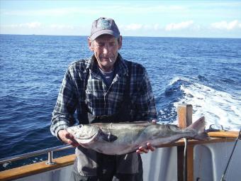 8 lb Pollock by pete