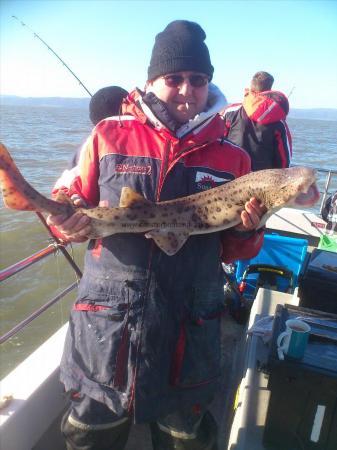 9 lb 4 oz Bull Huss by john phillips