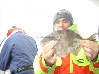 3 lb Trigger Fish by Unknown