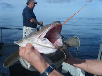 8 lb Ling by Peter Crisp