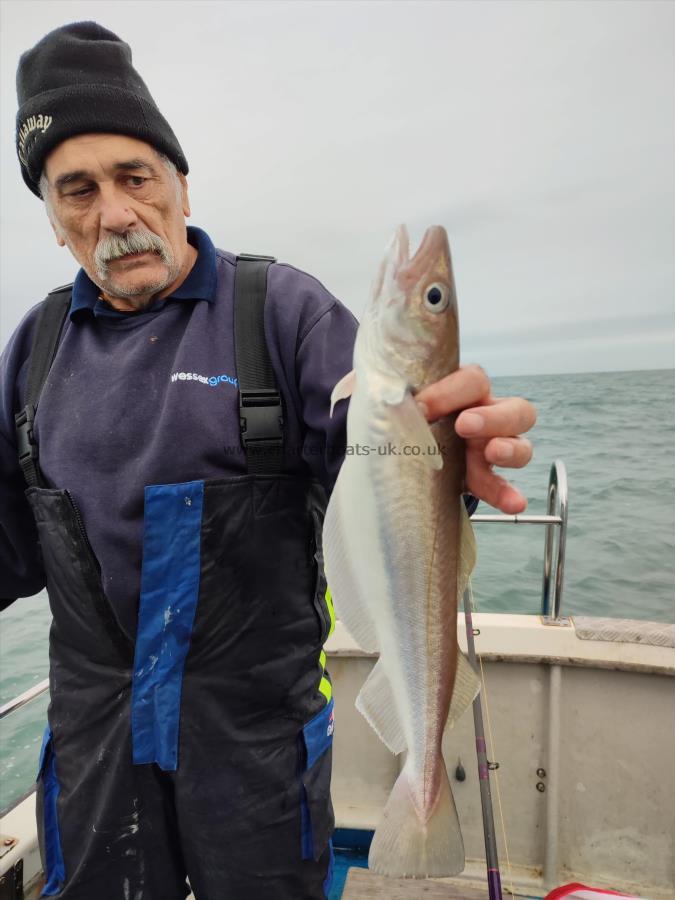 3 lb Whiting by Mike