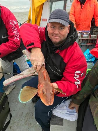 3 lb 2 oz Tub Gurnard by Kevin Glover