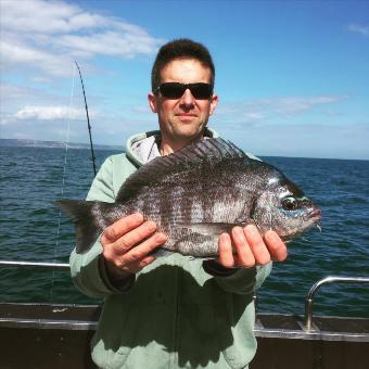 4 lb 8 oz Black Sea Bream by Unknown