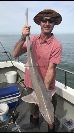 14 lb Starry Smooth-hound by Unknown