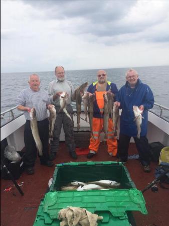 4 lb Cod by John and lads from barrow in furness