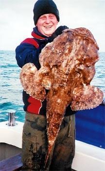 28 lb Anglerfish by Welshy