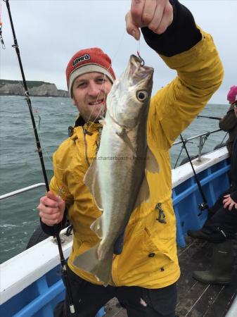 4 lb Pollock by andrew from lincoln pollock caught 3/6/2016