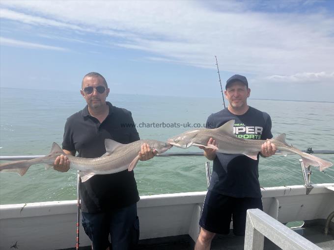 14 lb Smooth-hound by Unknown