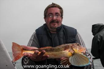 2 lb Tub Gurnard by Brian