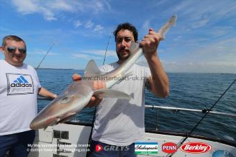 5 lb Starry Smooth-hound by Juan