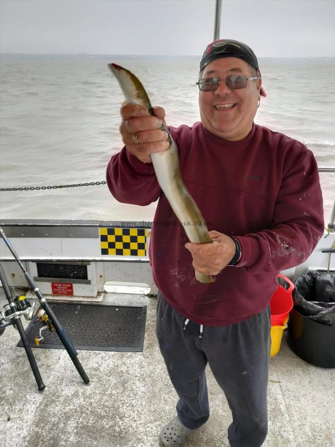 3 lb 2 oz European Eel by Unknown