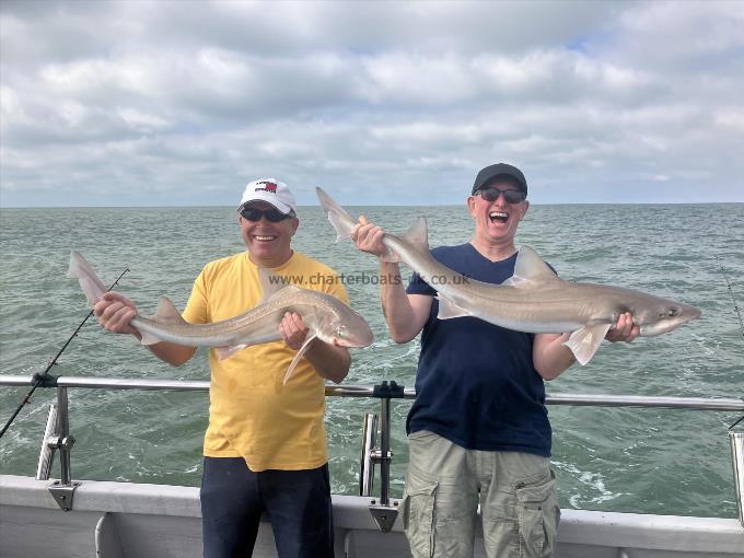 12 lb Smooth-hound by Unknown