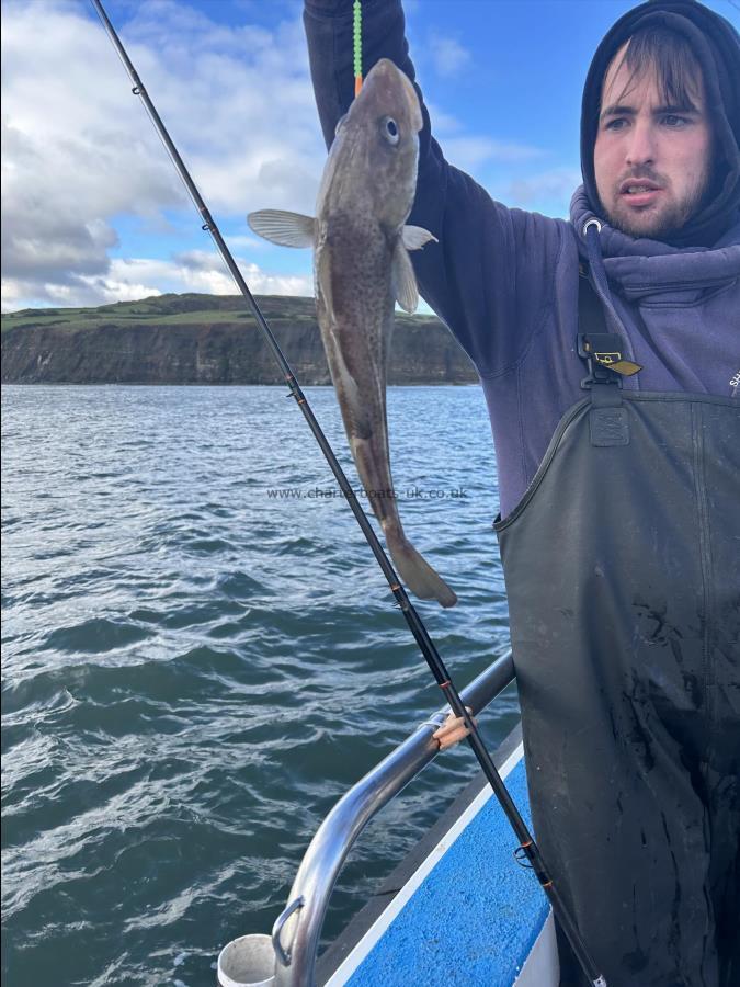 3 lb 4 oz Cod by Fergus.