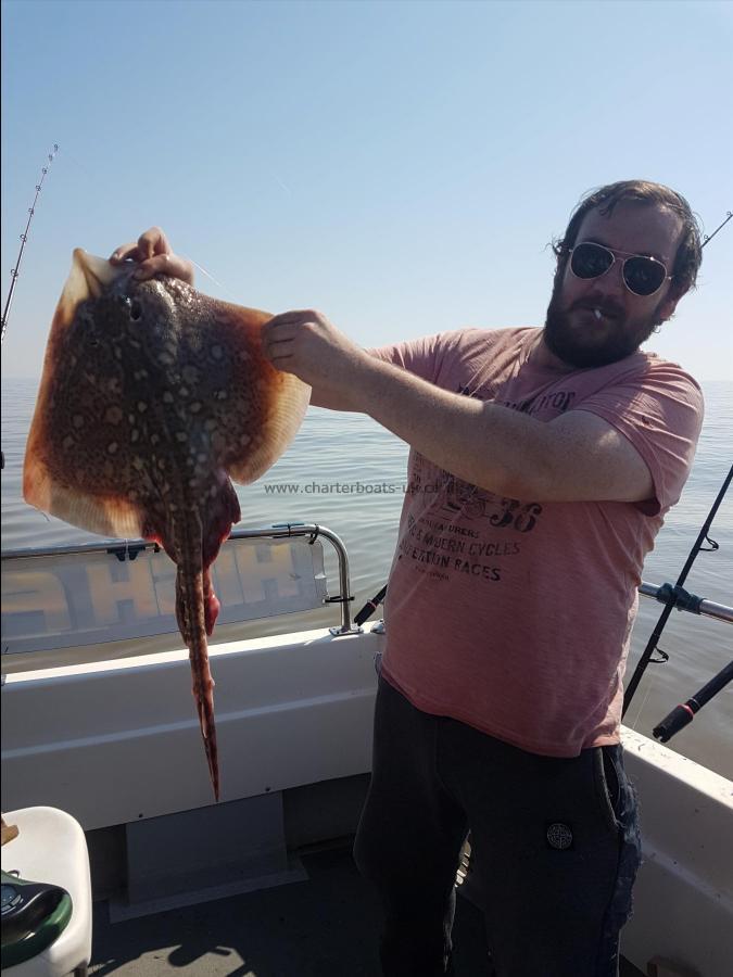 5 lb Thornback Ray by peter