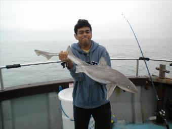 11 lb 4 oz Starry Smooth-hound by Rashid