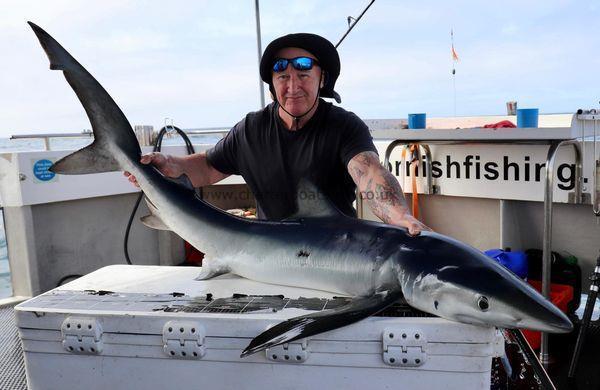 90 lb Blue Shark by Unknown