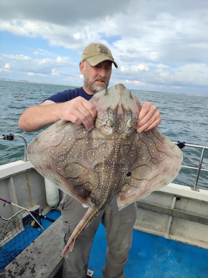 12 lb Undulate Ray by Kev