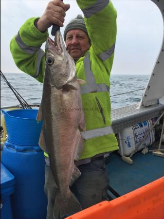 15 lb 8 oz Pollock by Kevin McKie