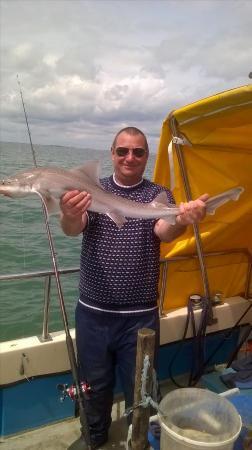 6 lb Smooth-hound (Common) by ian bridges