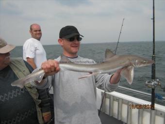 6 lb Starry Smooth-hound by Unknown