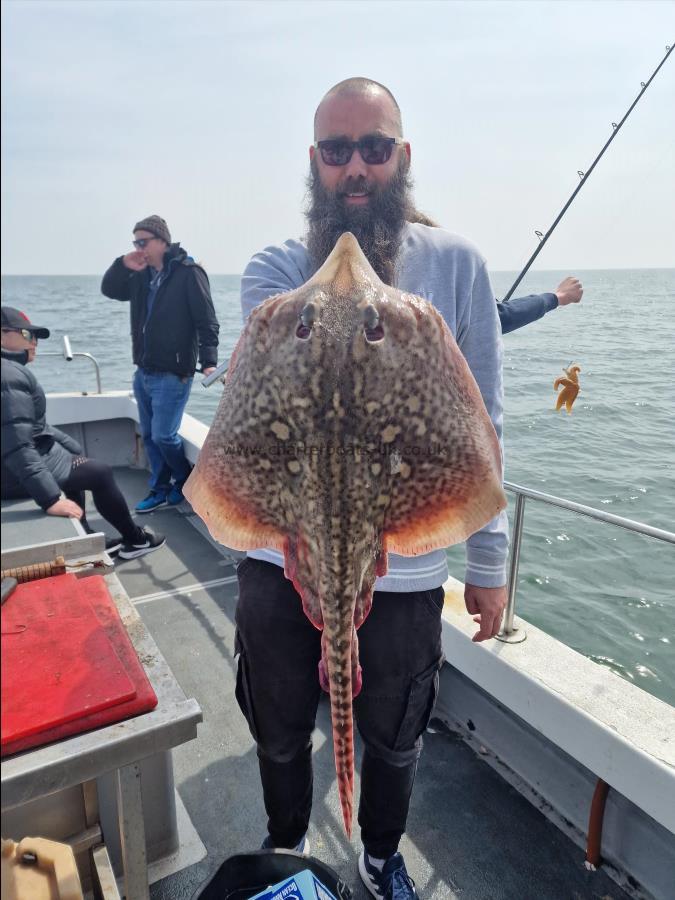 3 lb Thornback Ray by Lee