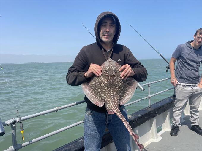 8 lb Thornback Ray by Unknown