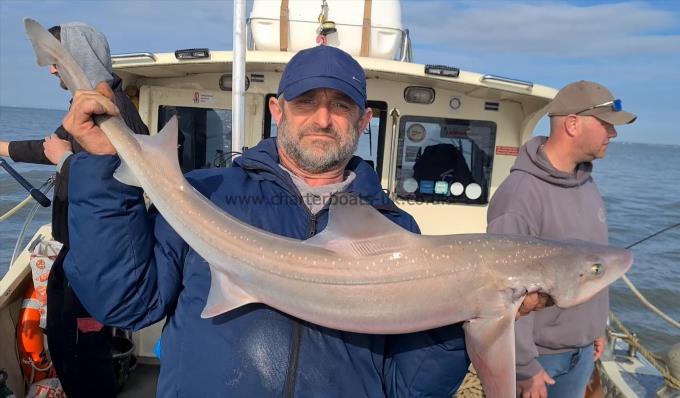 16 lb Starry Smooth-hound by Sean