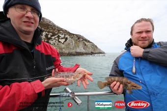 1 lb Ballan Wrasse by Gareth & Warren