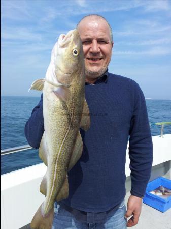 8 lb Cod by Unknown