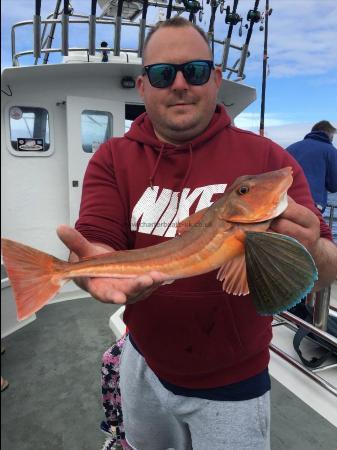 3 lb 1 oz Tub Gurnard by Unknown