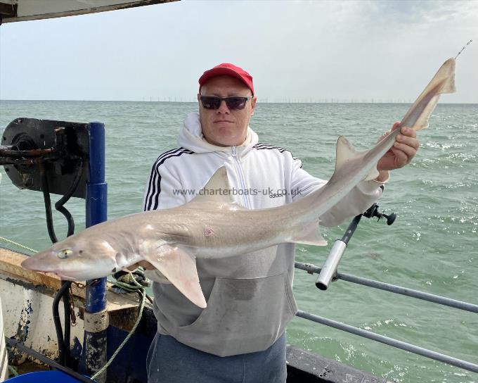 13 lb Smooth-hound (Common) by Unknown