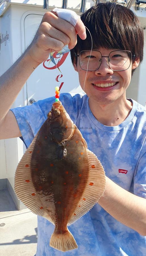 1 lb 12 oz Plaice by Unknown