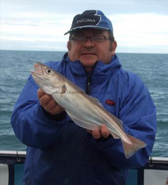 2 lb 12 oz Whiting by Stephan Attwood