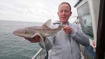 6 lb 4 oz Starry Smooth-hound by Kevin from Rainham