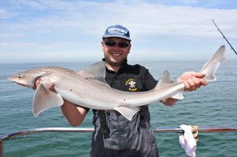 12 lb 8 oz Starry Smooth-hound by Chris Hamblin