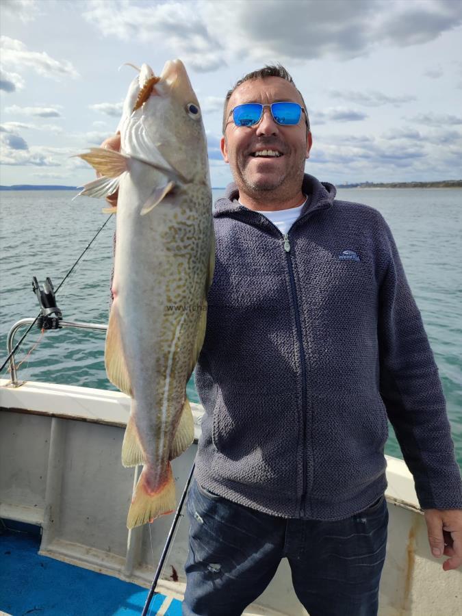 3 lb Cod by Rollin