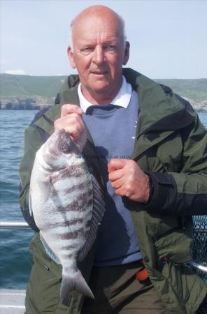 3 lb 14 oz Black Sea Bream by Gerry Todd