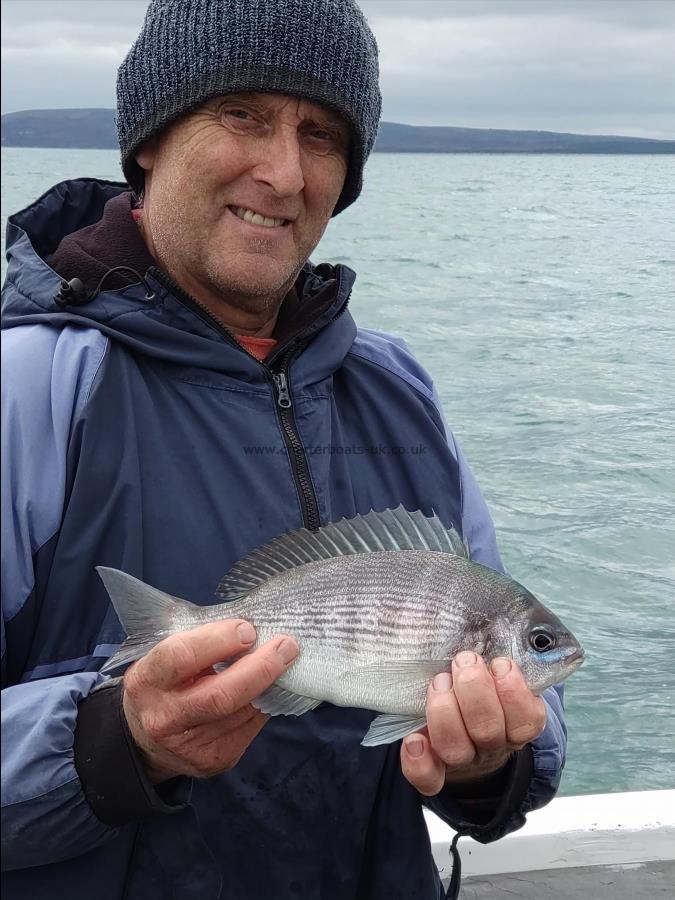 1 lb 4 oz Black Sea Bream by Ali