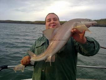 15 lb Starry Smooth-hound by Unknown