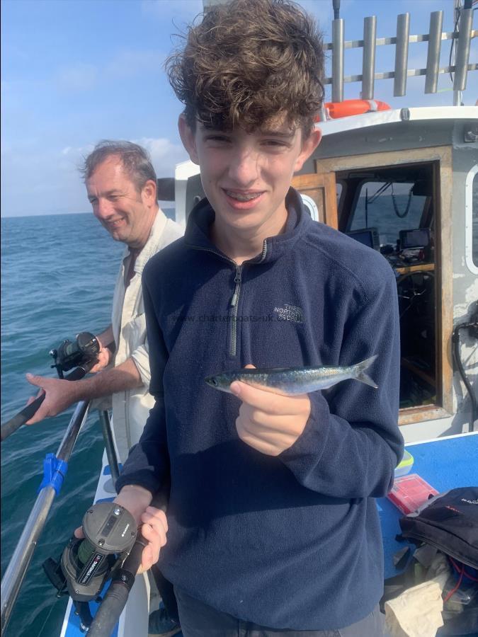 2 oz Pilchard by Monty