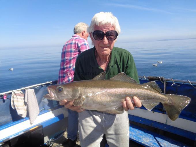 9 lb 10 oz Pollock by one off many caught by dennis