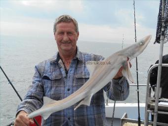 6 lb 5 oz Starry Smooth-hound by Chris Merrison