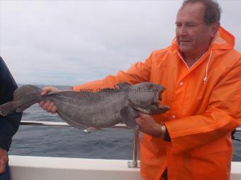 8 lb Wolf Fish by Rod Gibbs