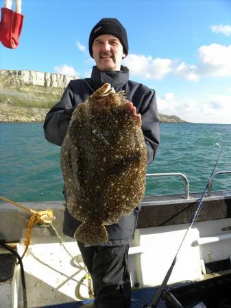 5 lb Brill by Unknown