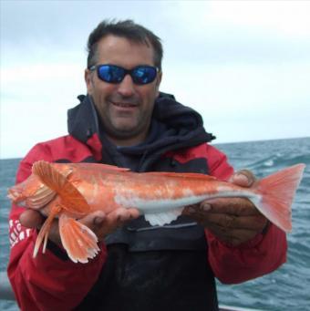 1 lb 6 oz Red Gurnard by Jon Patten